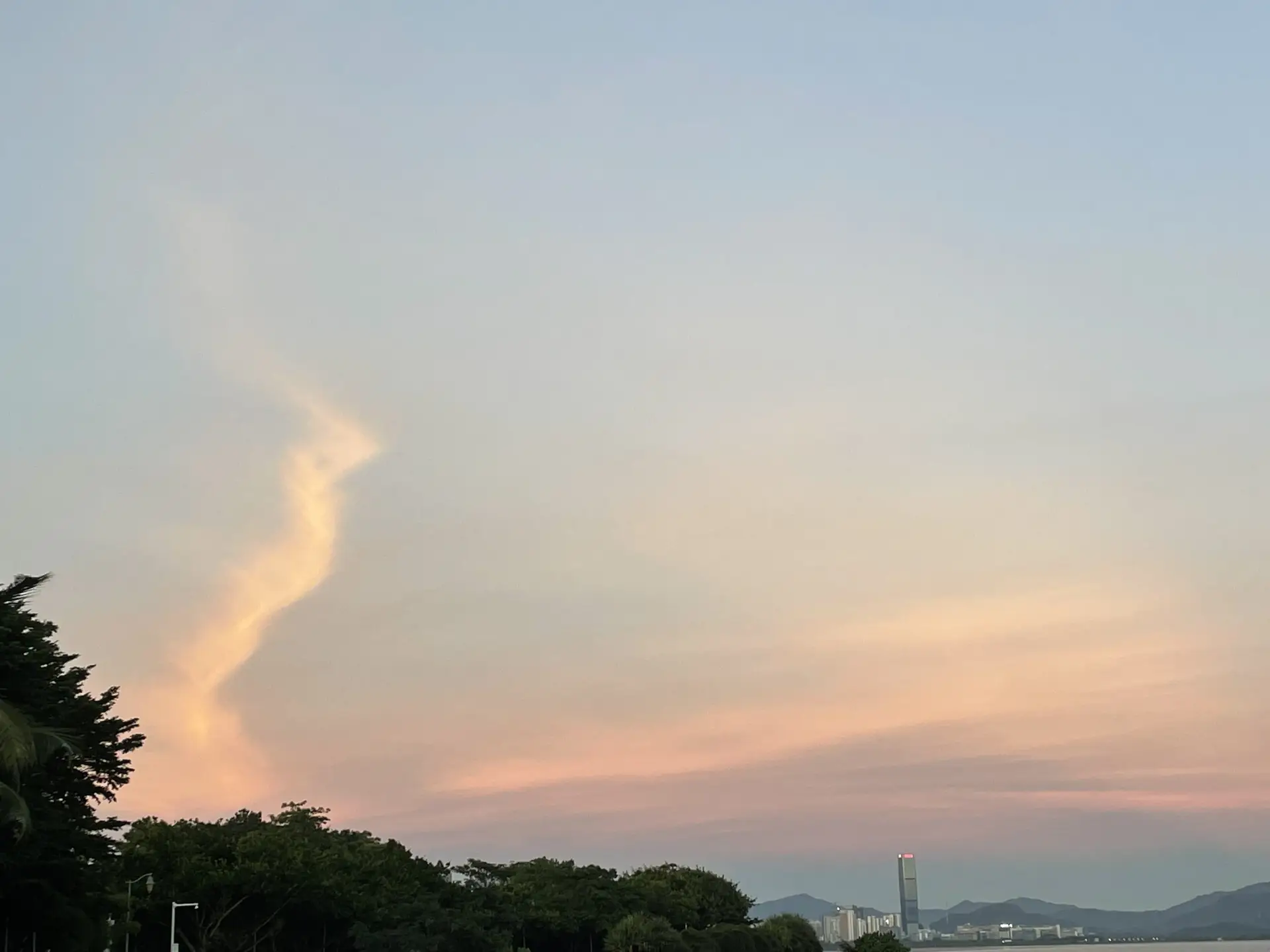 风携思念飘散